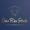 chicoricostudio